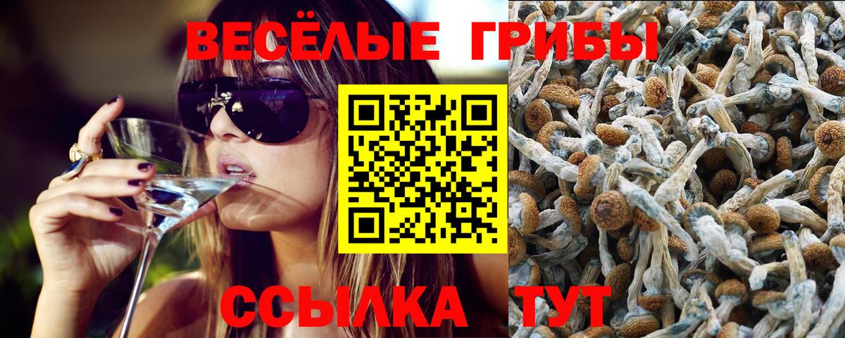 Галлюциногенные грибы Magic Shrooms Клин