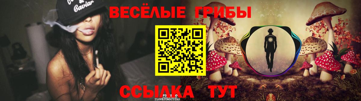 Псилоцибиновые грибы GOLDEN TEACHER  Галлюциногенные грибы Psilocybe  Клин  Вход с VPN 